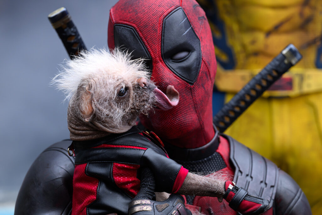 Dogpool e Ryan Reynolds in DEADPOOL & WOLVERINE. Foto di Jay Maidment. © 2024 20th Century Studios / © and ™ 2024 MARVEL.