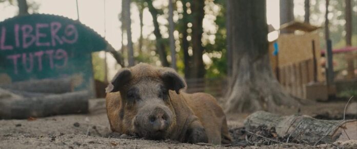 Cuori liberi - Documentario di Alessio Schiazza. Courtesy of Mescalito Film