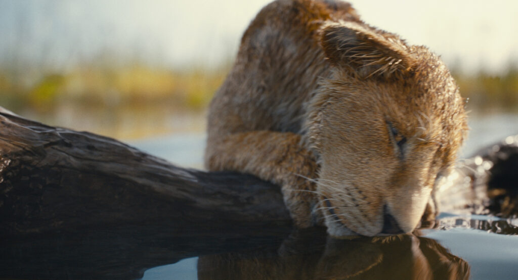 Mufasa - Il re leone. Regia di Barry Jenkins. Photo courtesy of Disney. © 2024 Disney Enterprises Inc. All Rights Reserved.